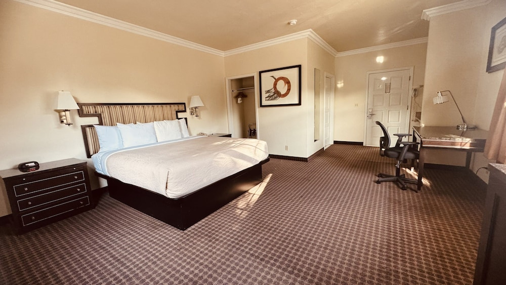 The Miramar Inn and Suites 15/50