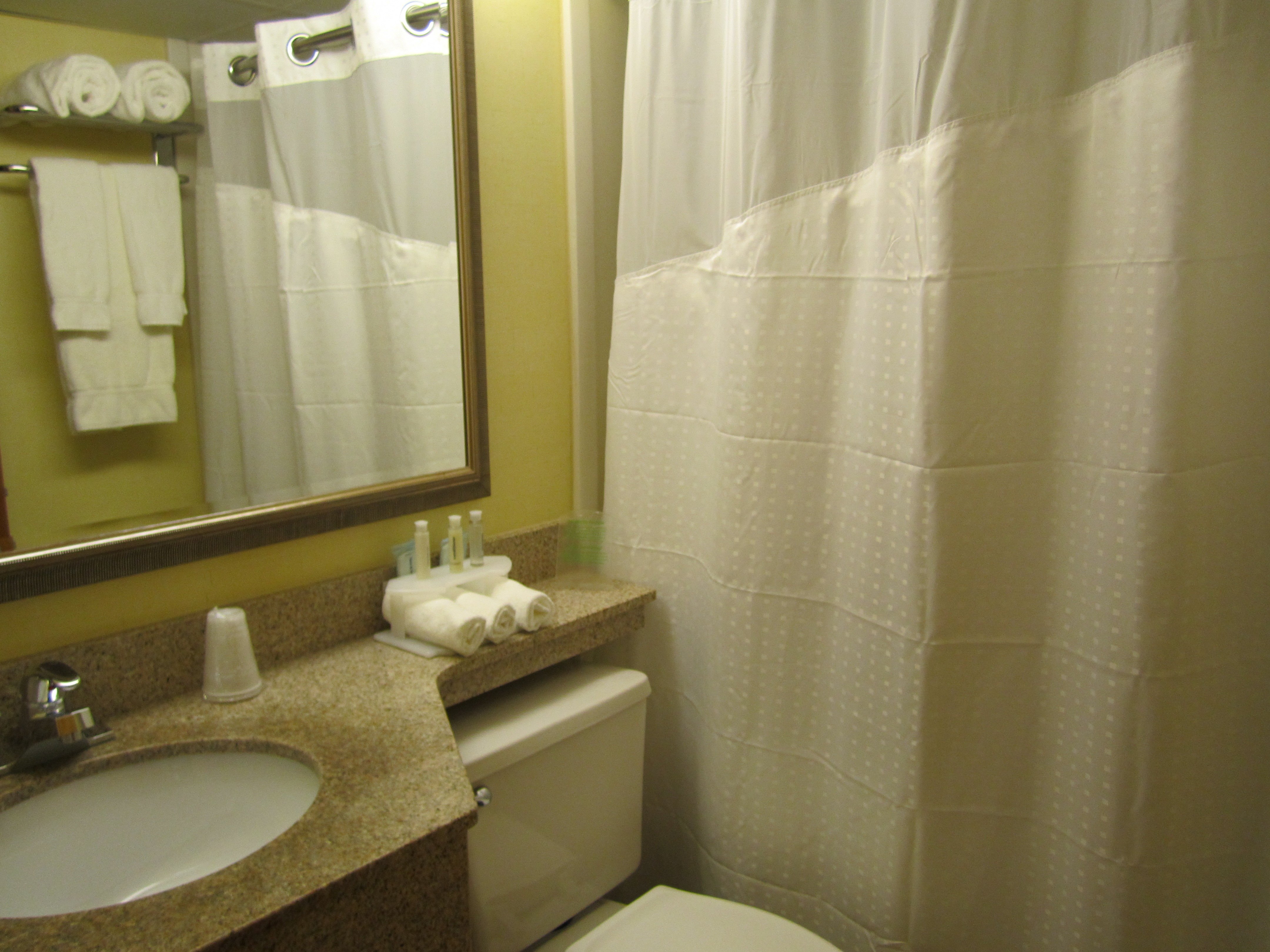 Holiday Inn Express Boston 63/63
