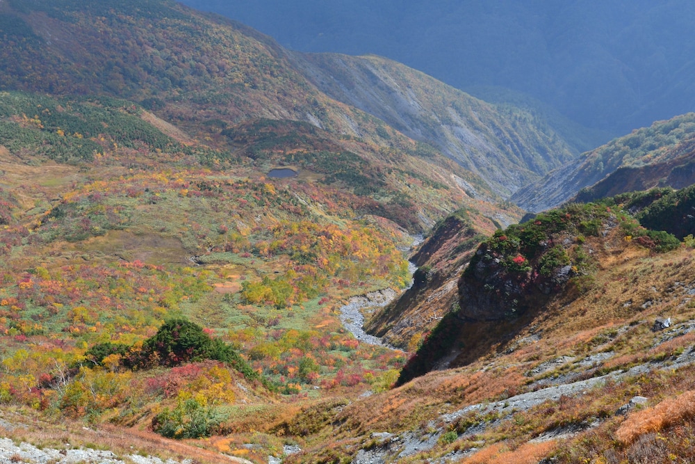 Hakuba Mominoki Hotel 67/74