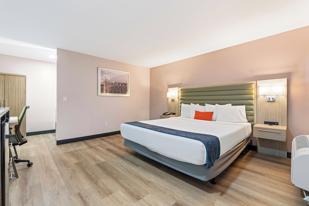 Room, King Bed