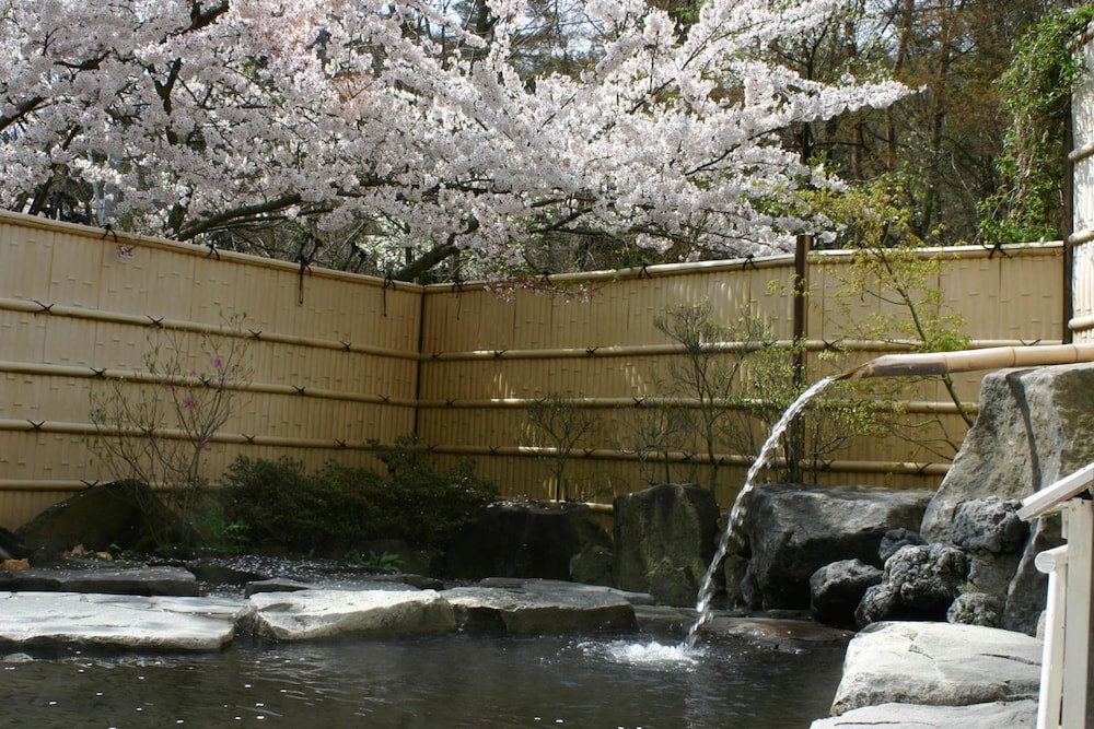 Nakaoyama Onsen Shosenkaku 13/50