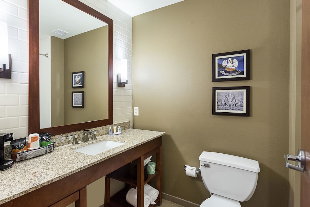 Comfort Inn & Suites Zachary, LA 14/41