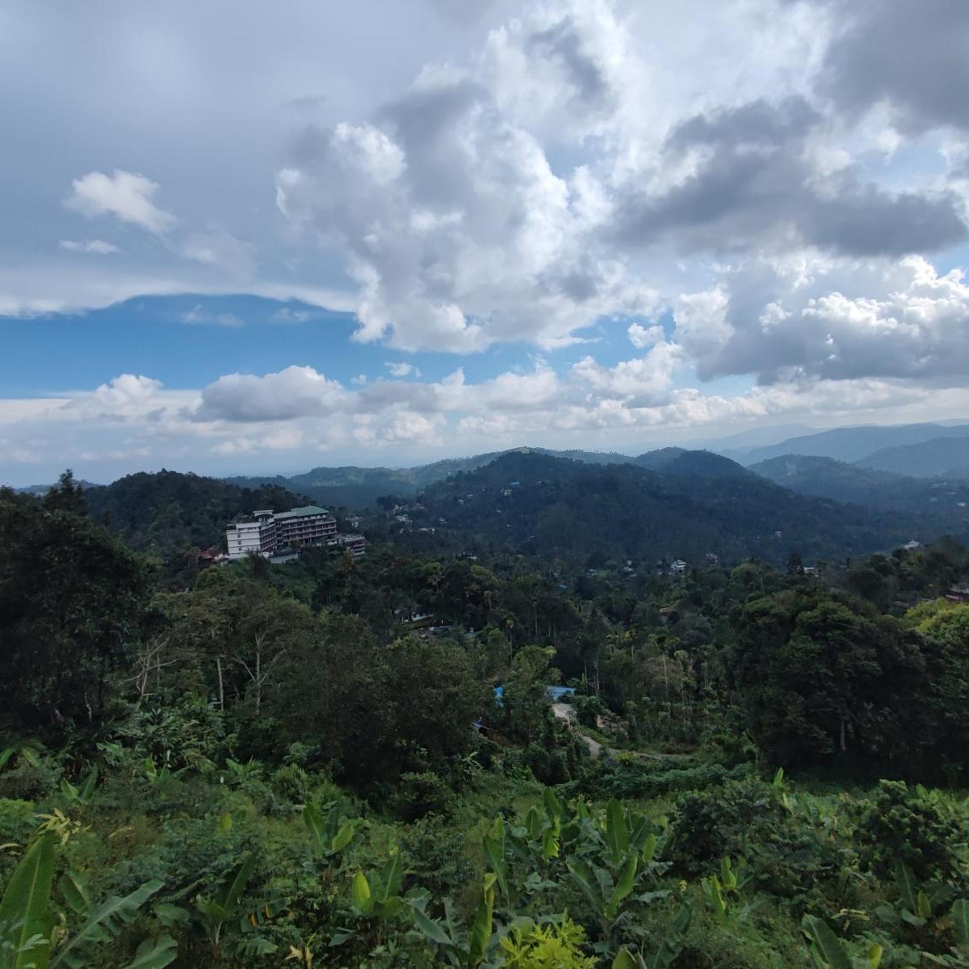 Munnar Tea Country Resort 32/47