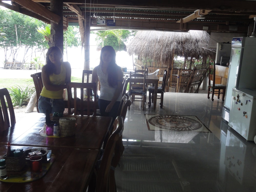 Sea Turtle House 29/50