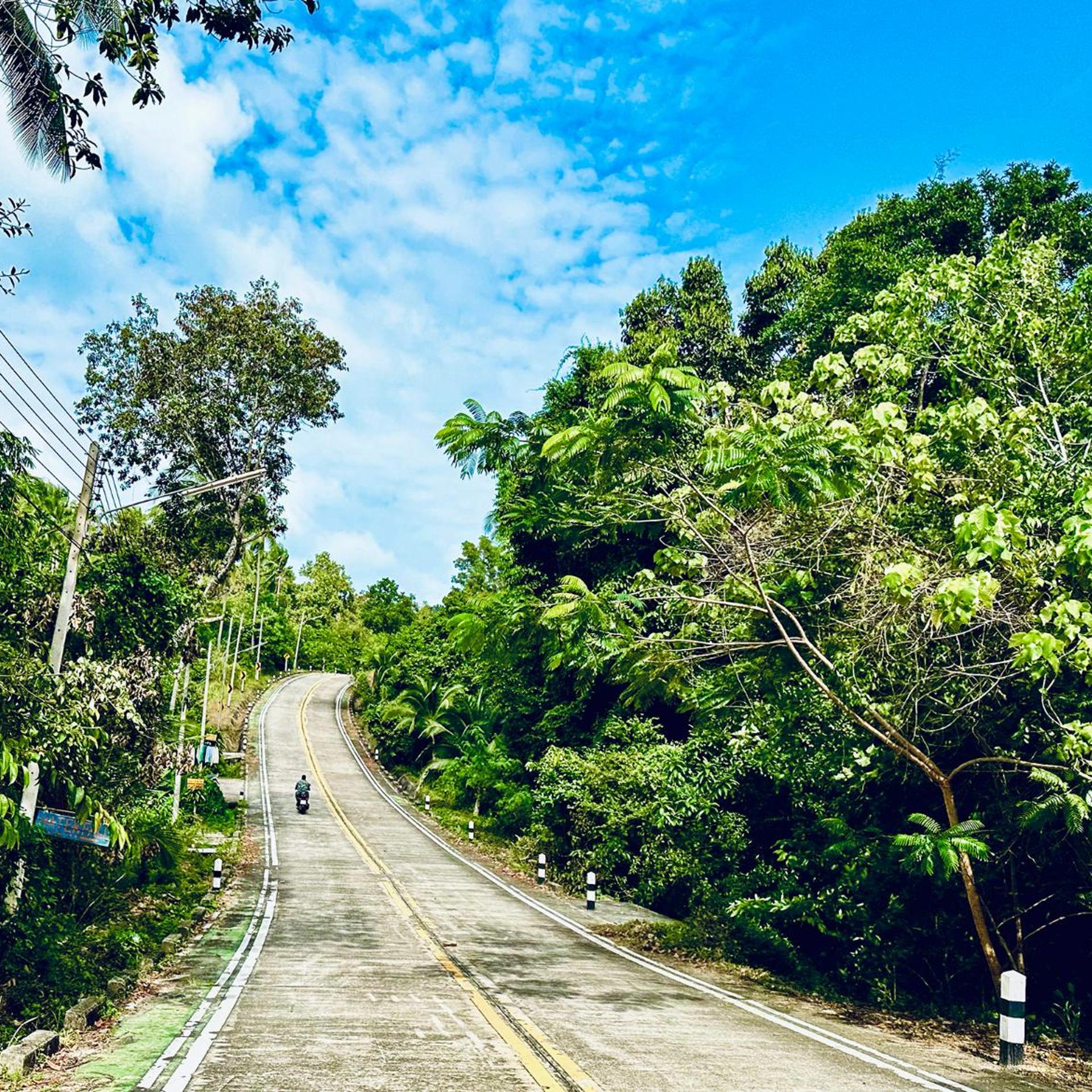 Dreamville Koh Phangan 50/55