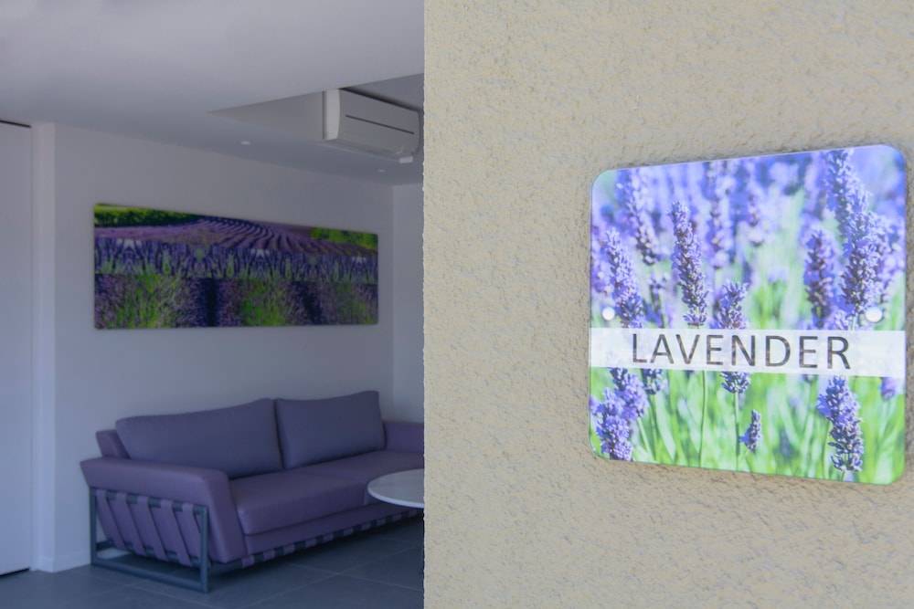 Lavender Cove 21/50