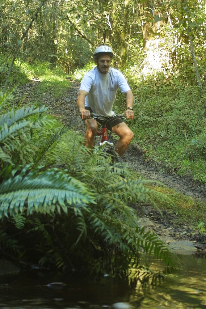 The Fernery Lodge & Chalets 35/50