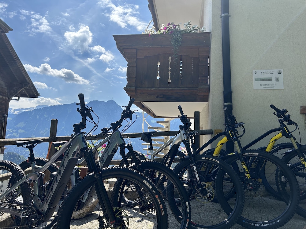 Hotel Le Grand Chalet 40/50