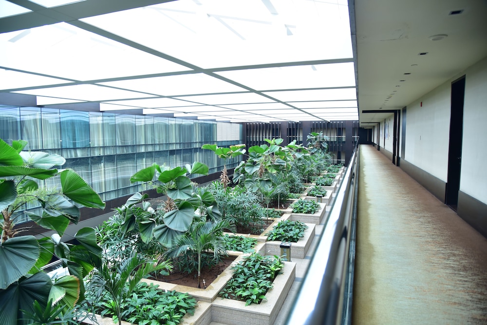 PARK HYATT HYDERABAD 66/69