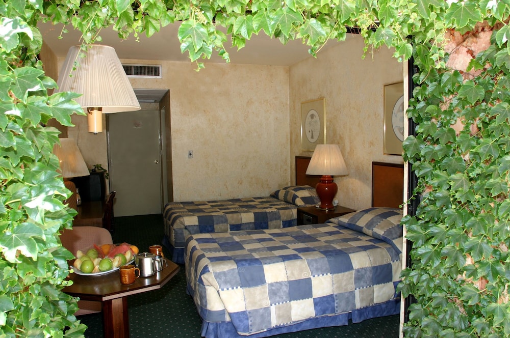The Petra Palace Hotel 38/70