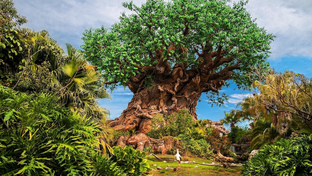 Disneys Coronado Springs Resort 47/50