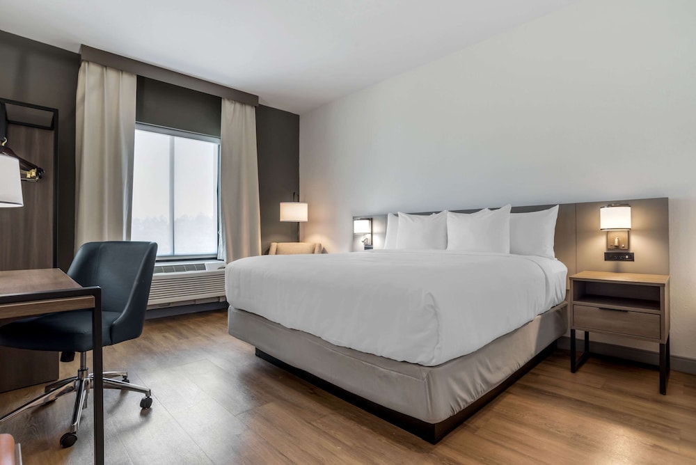 ROOM, KING BED, ACCESSIBLE