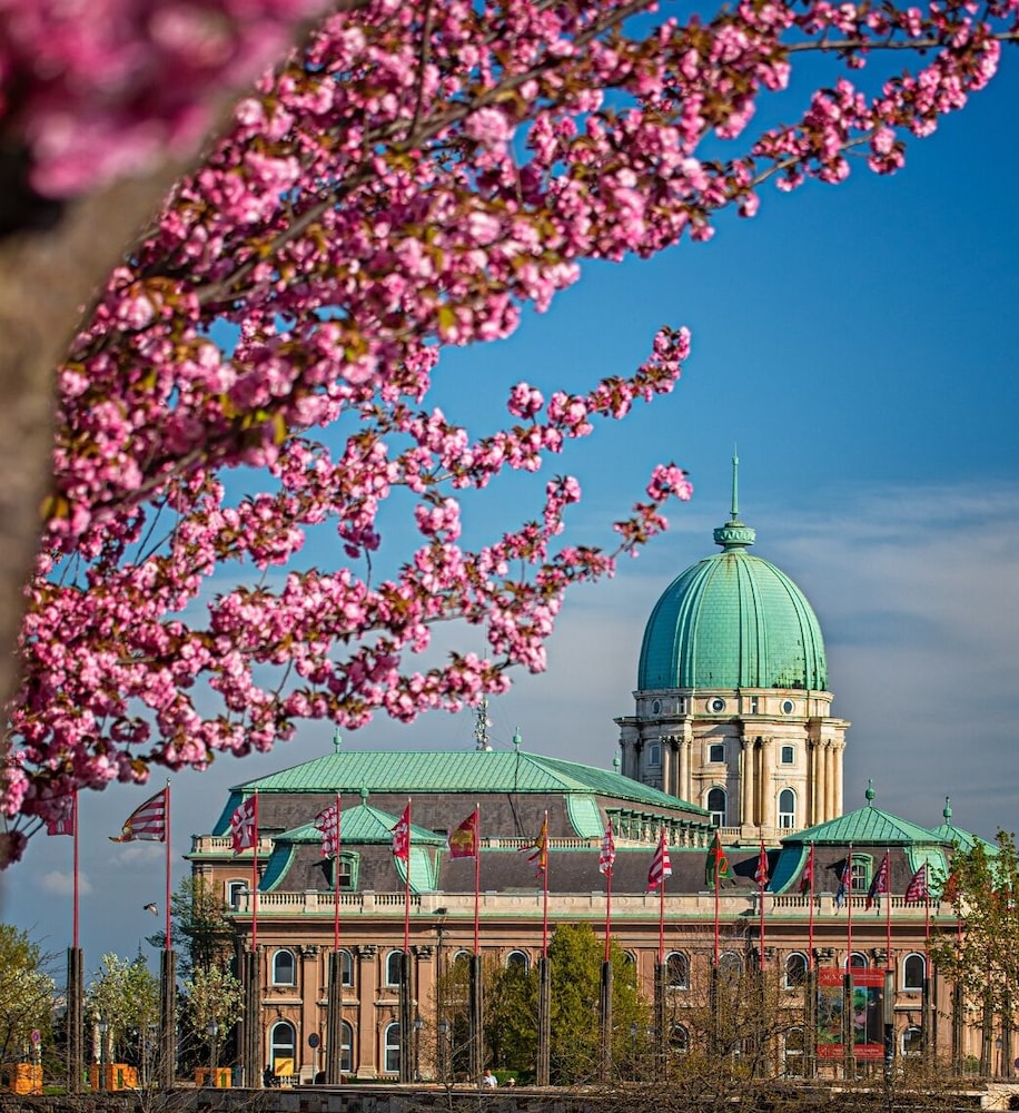 Carlton Hotel Buda Castle 7/64