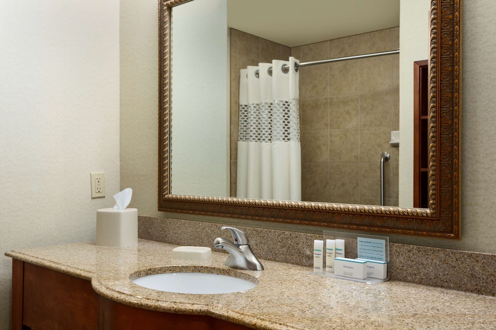 جناح استوديو بسرير كينج مع أريكة لذوي الإعاقة، Hampton Inn & Suites Pharr, TX 7/10