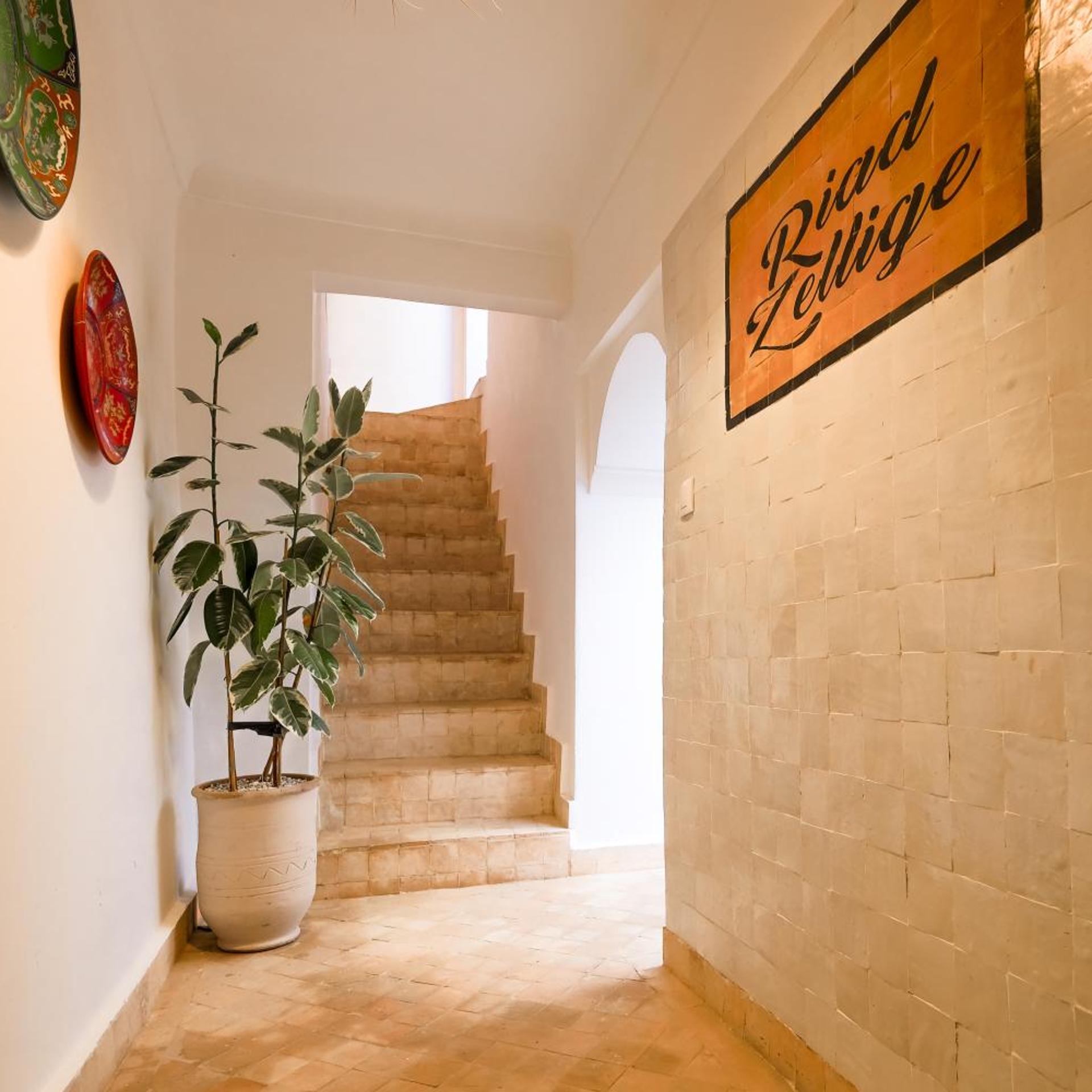 Riad Zellige 36/55