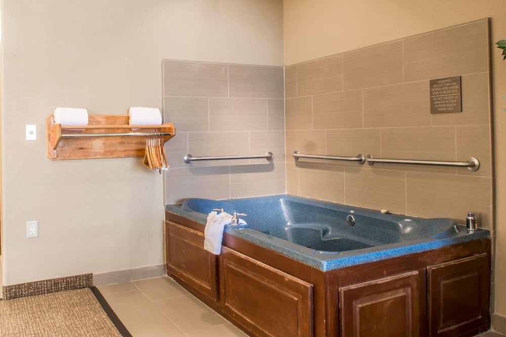 Comfort Inn Edinburg South Texas 19/46