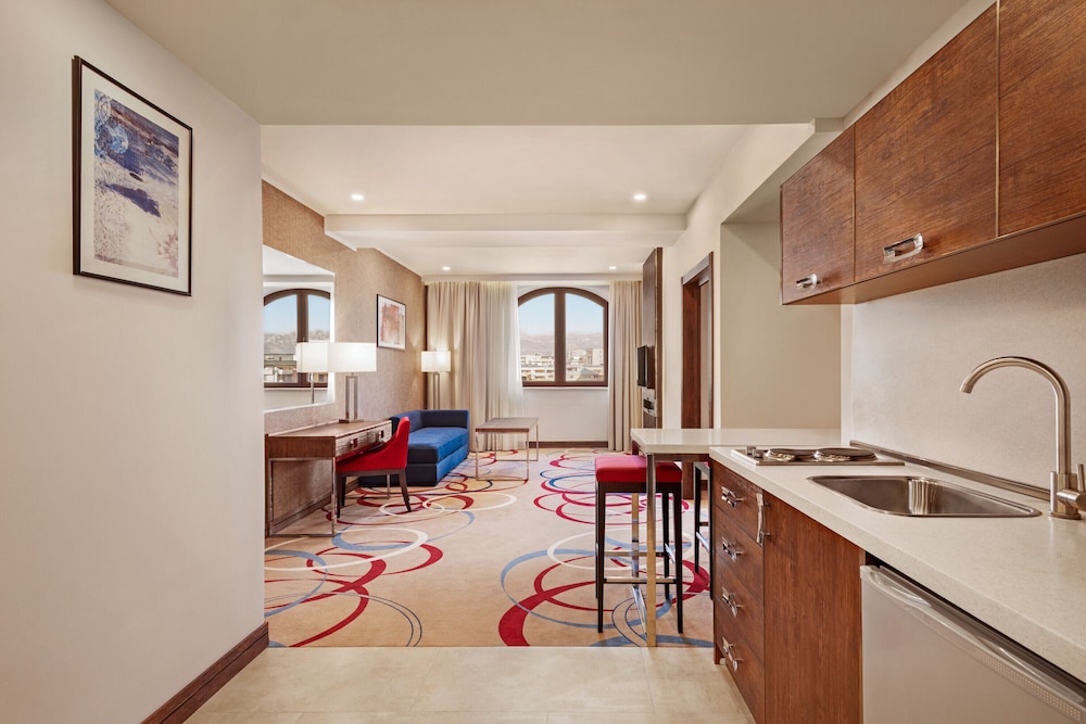 Ramada Hotel and Suites by Wyndham Yerevan 34/45