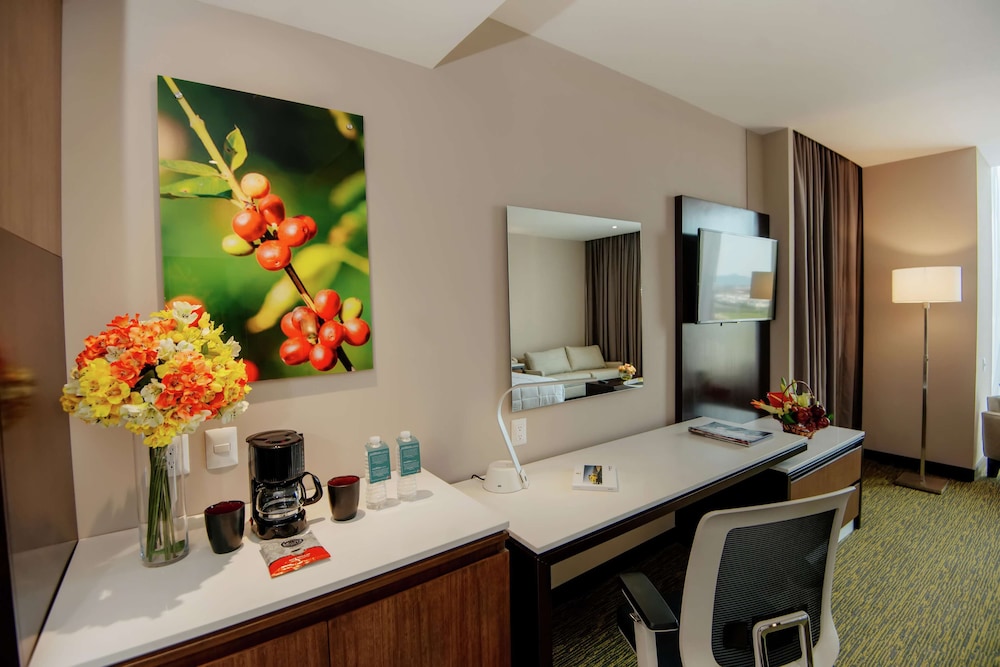 Hilton Garden Inn Puebla Angelopolis 46/50