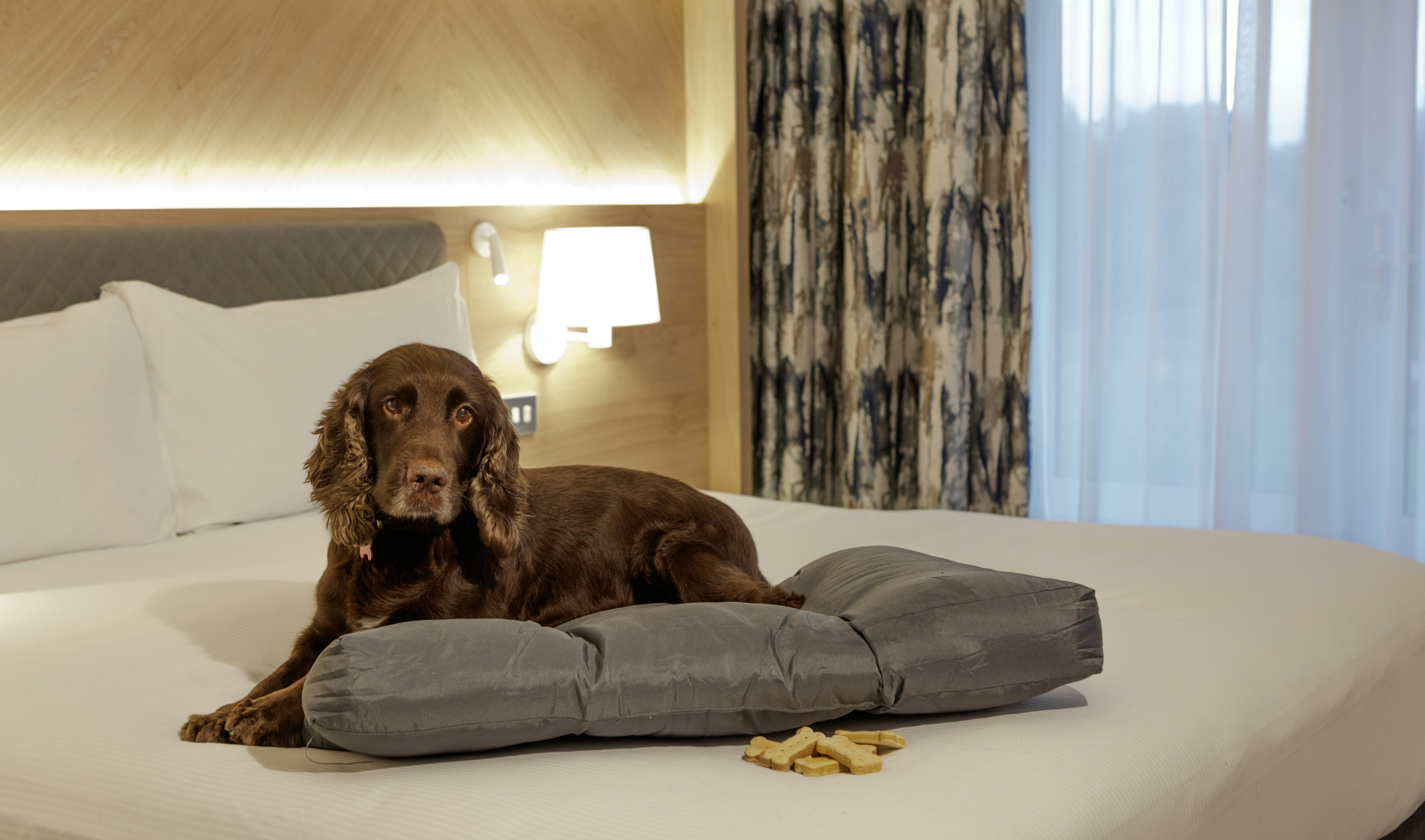 Hilton Cobham 24/50