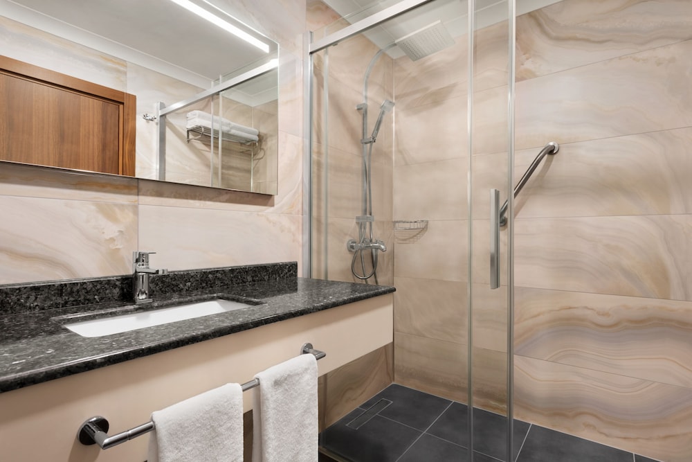 Super, Deluxe, King Bed, Smoking، Ramada by Wyndham Sakarya Hendek 4/4