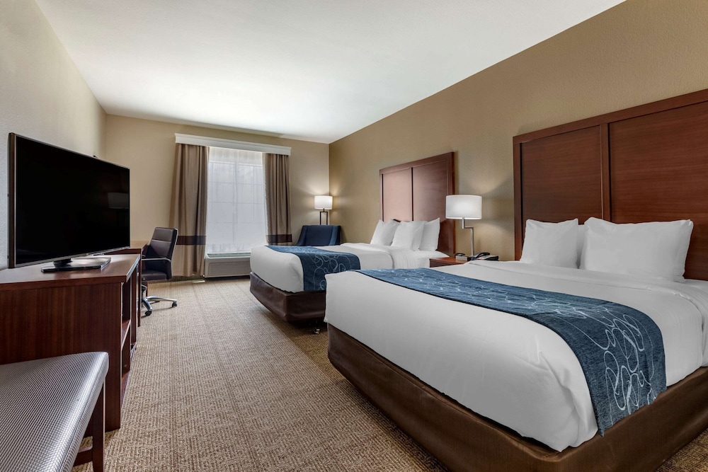 Comfort Inn & Suites Paris 15/33