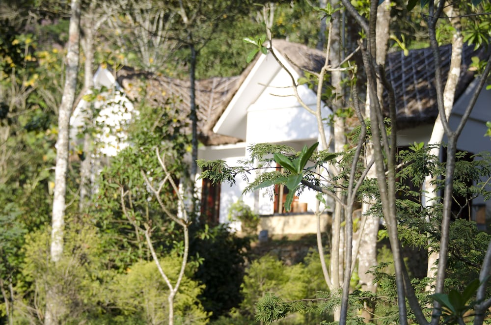 Niraamaya Retreats Cardamum Club 31/36