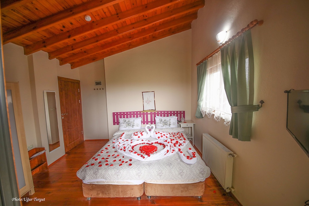 TARTARUGA MOTEL 20/50