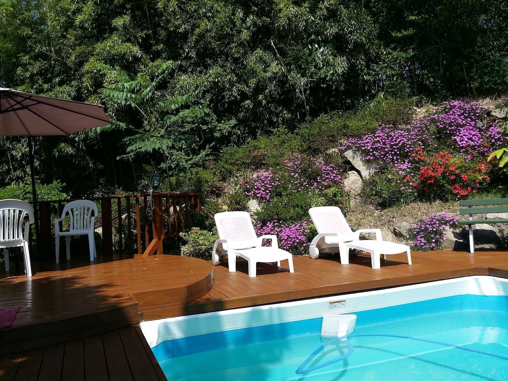 Bellus Rose Pension Hotel 35/64