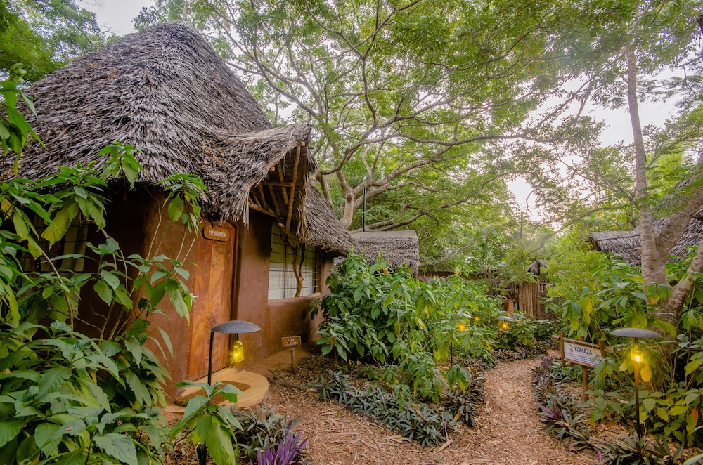 DISTANT RELATIVES ECOLODGE & BACKPACKERS 40/50