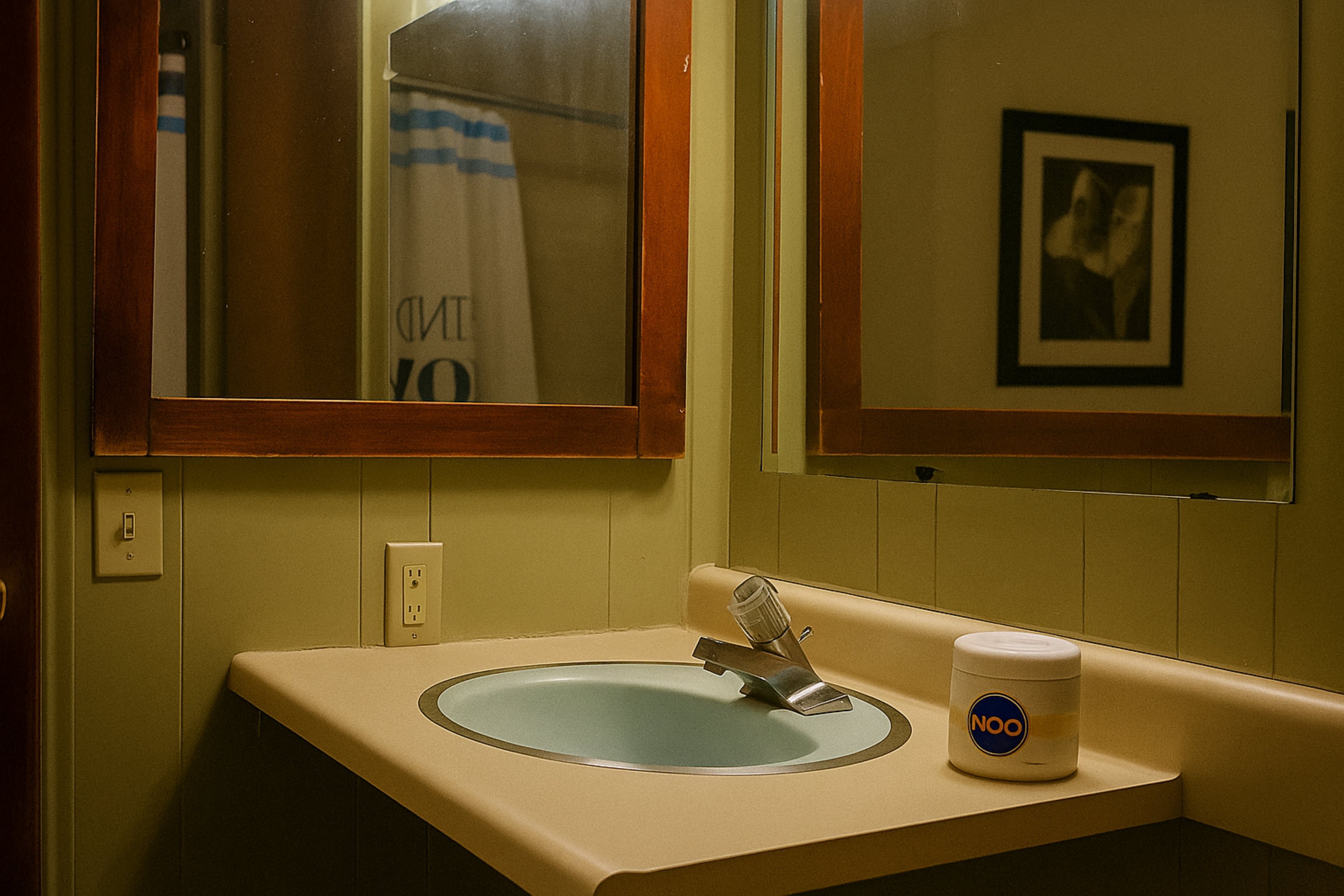OYO Pleasant Motel 20/23