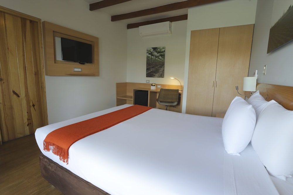 CASA ANDINA STANDARD CHINCHA 19/69
