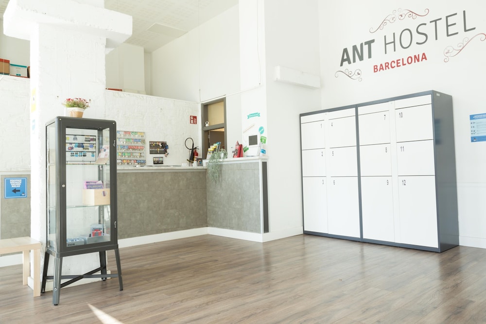 Ant Hostel Barcelona 2/66