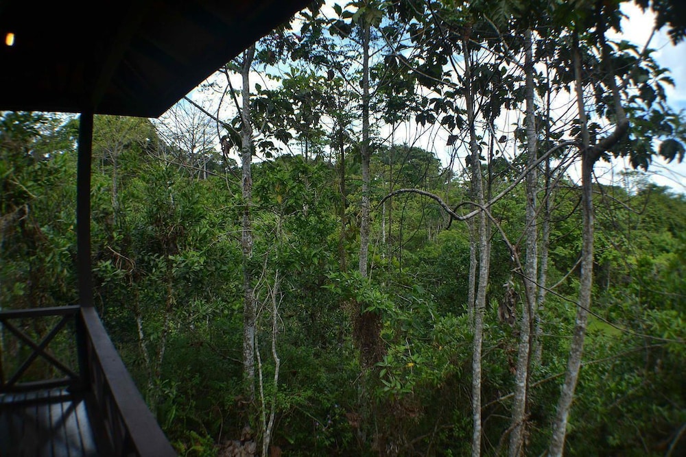 Sepilok Forest Edge Resort 31/39