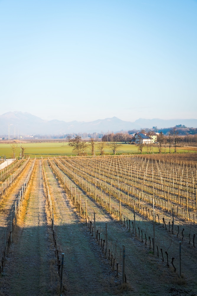 Agriturismo Dei Grippi 65/74