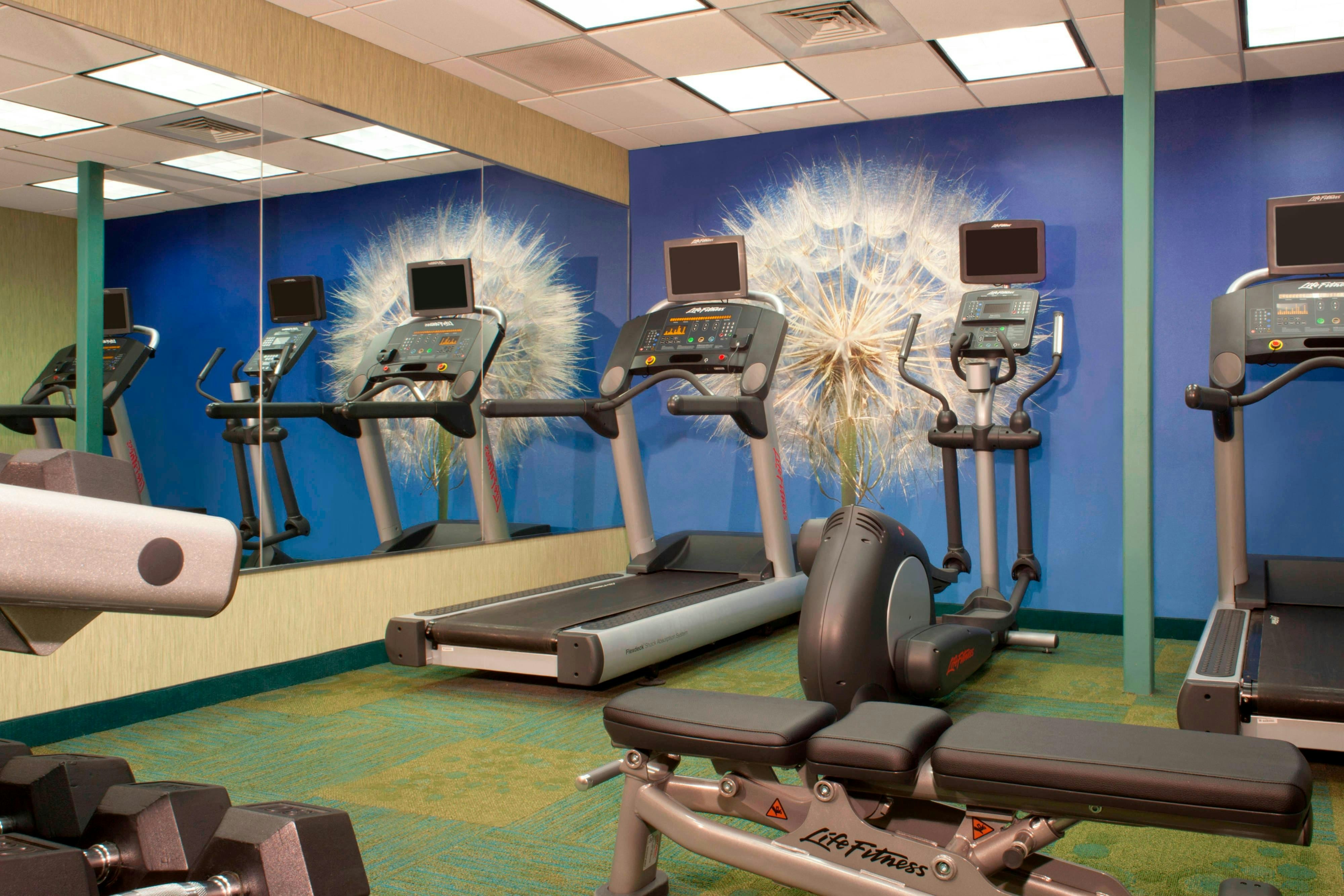 Springhill Suites Gainesville 3/8
