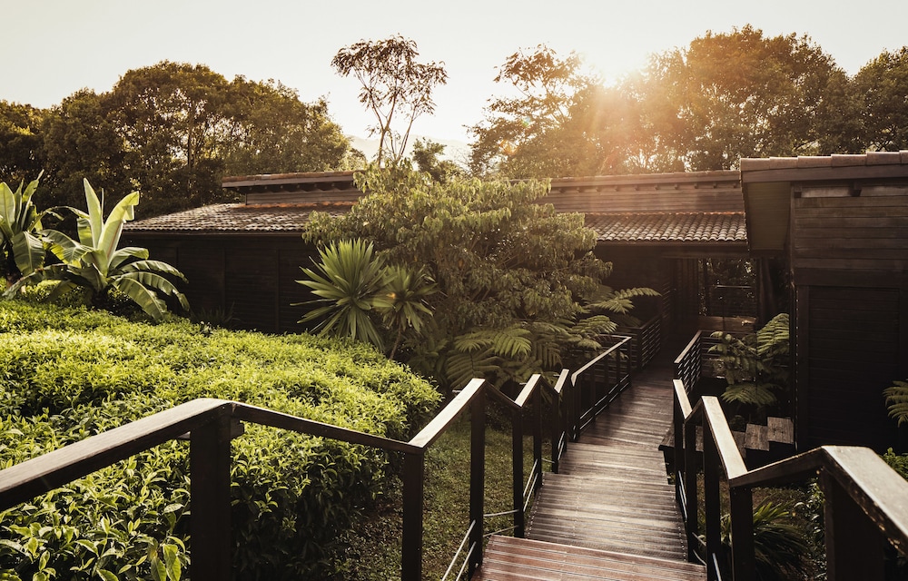 Nyungwe Tea Forest Resort 22/71