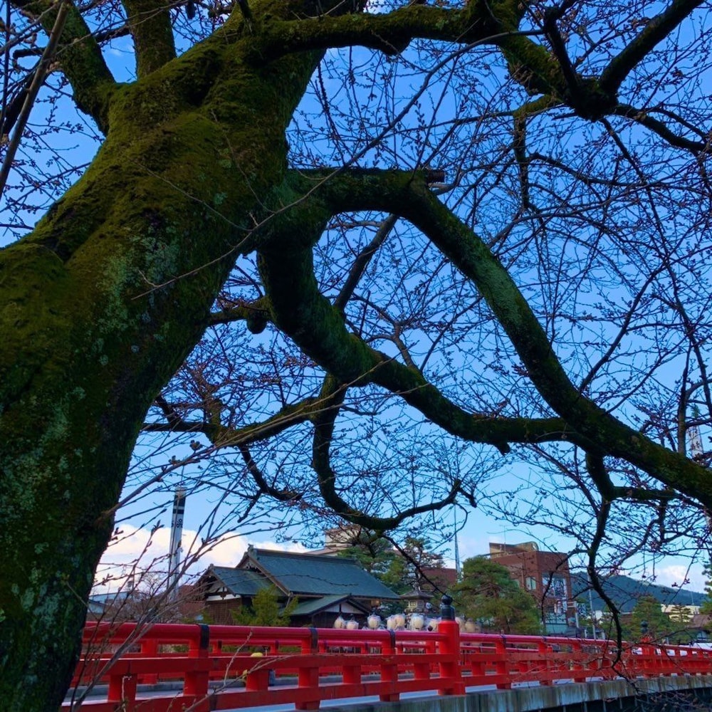Hotel Wood Takayama 43/51