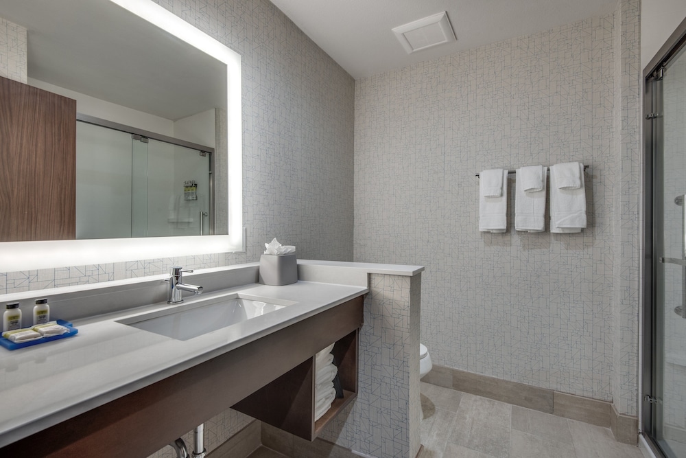 Holiday Inn Express And Suites Dallas North Addison 23/64