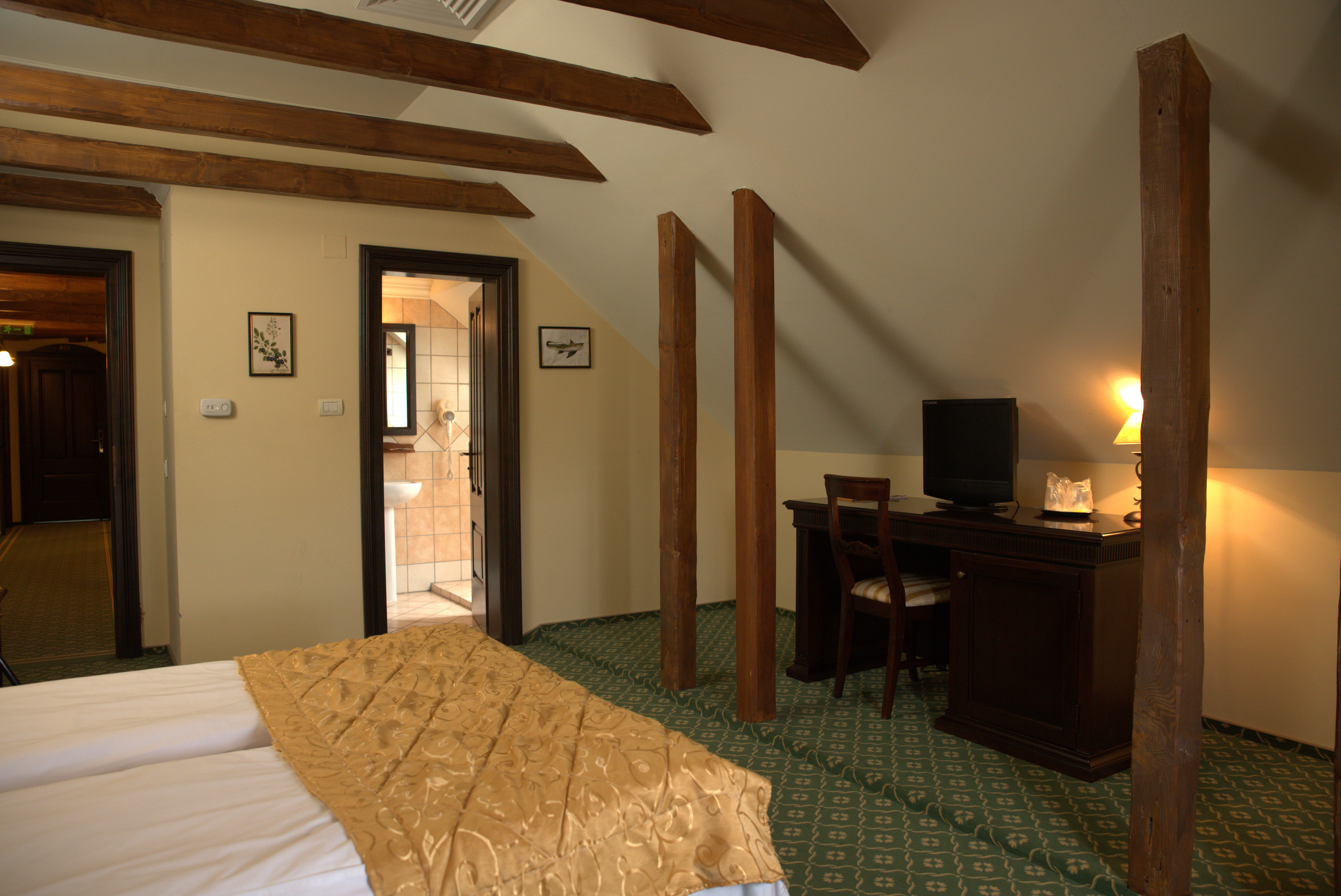 Hotel Koronna 8/22