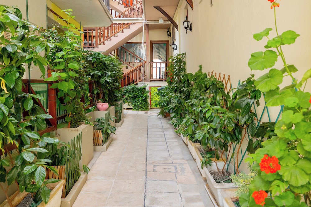 Pansion Athos Guesthouse 34/43