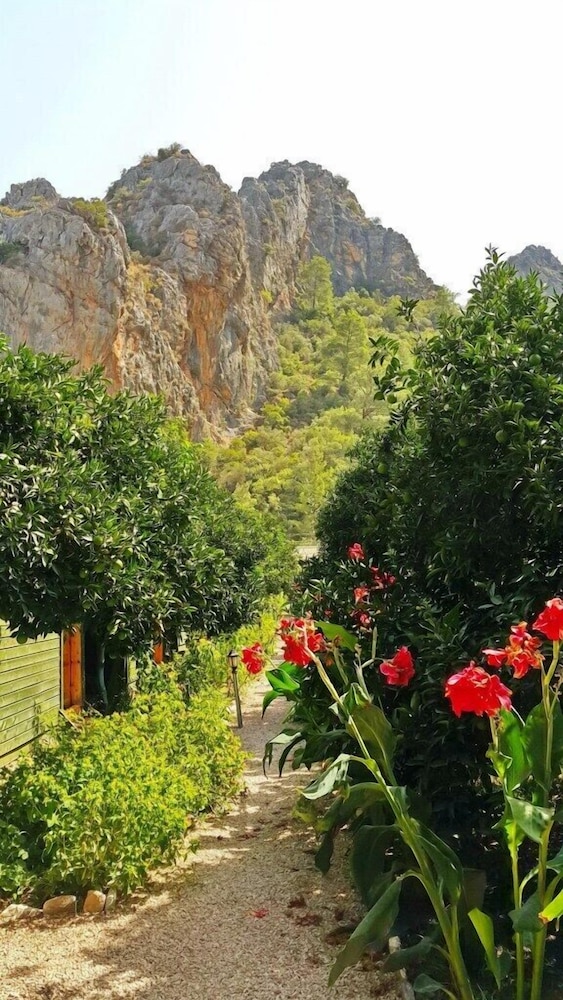 Olympos Tatilya Pansiyon 30/41