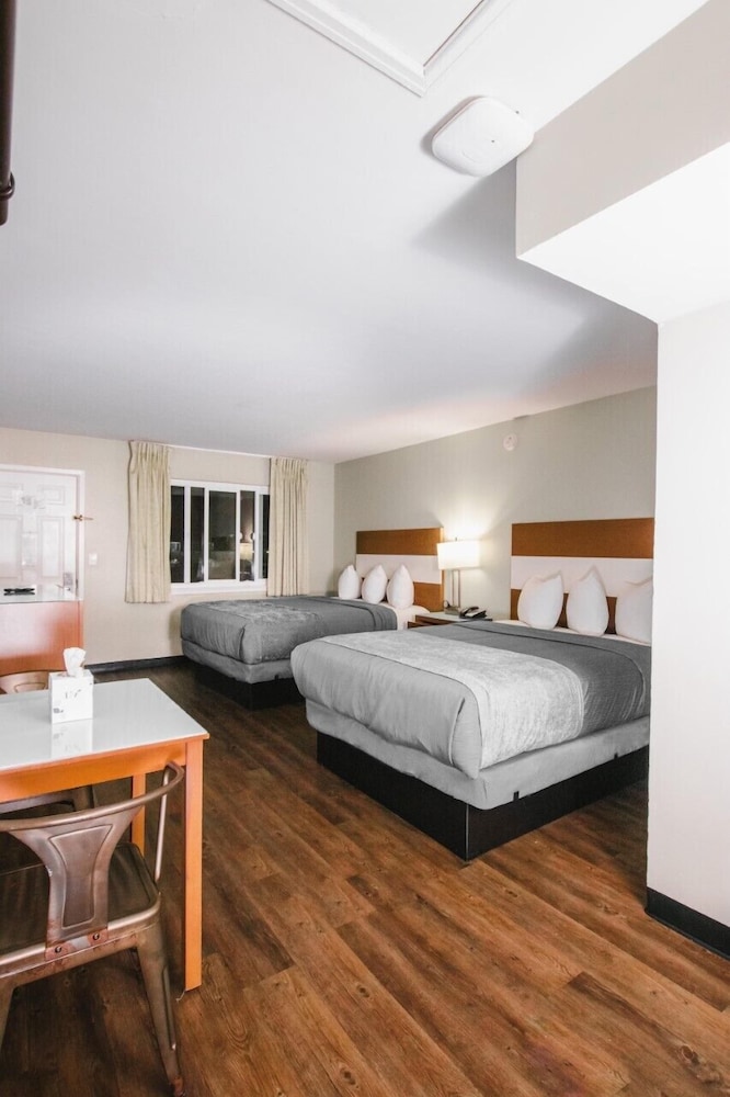 Room, 2 Queen Beds, Accessible