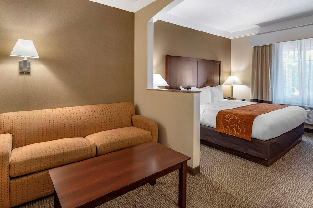 Comfort Suites Linn County Fairground And Expo 14/38