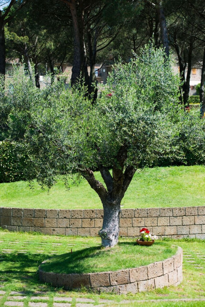 San Bartolomeo LT 32/46