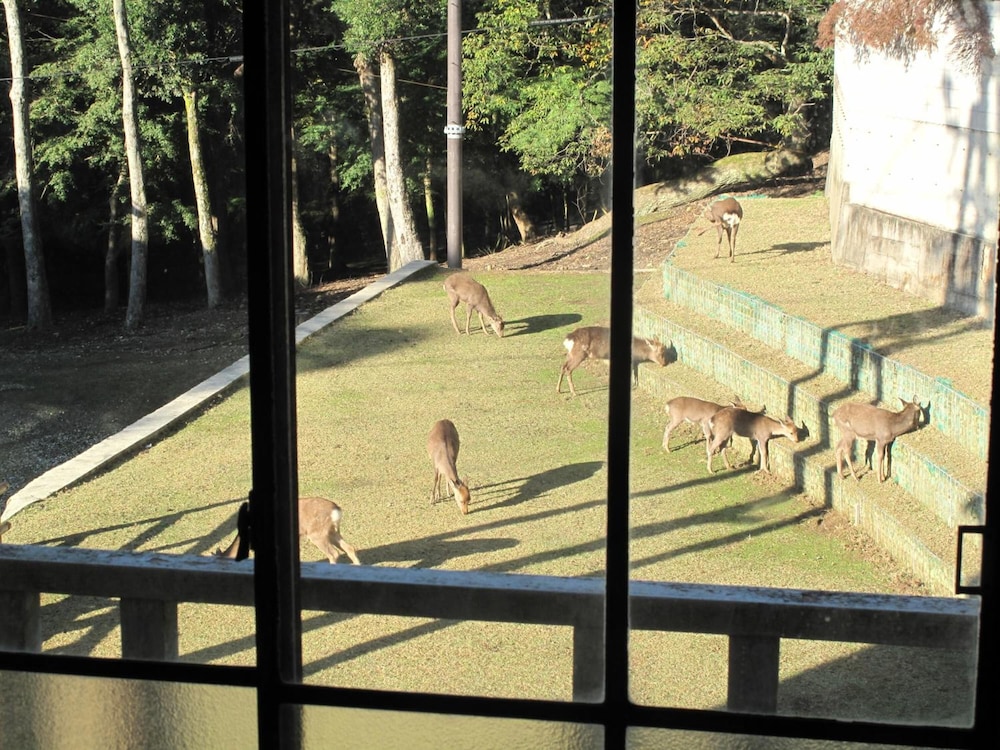 The Deer Park Inn 39/71