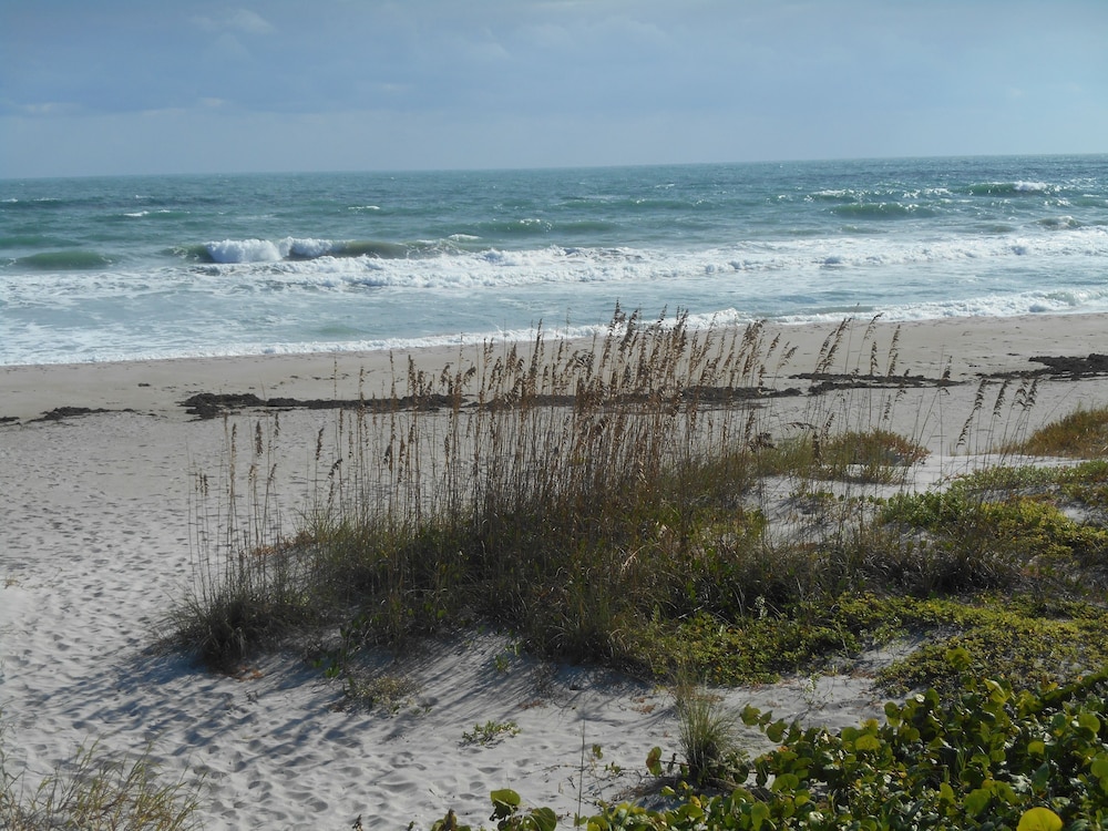 Windemere Inn By The Sea 36/50