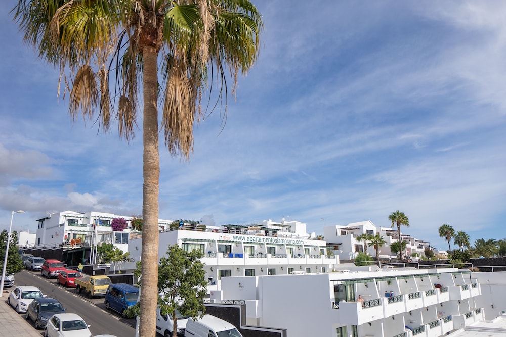 Morana Apartamentos 61/68