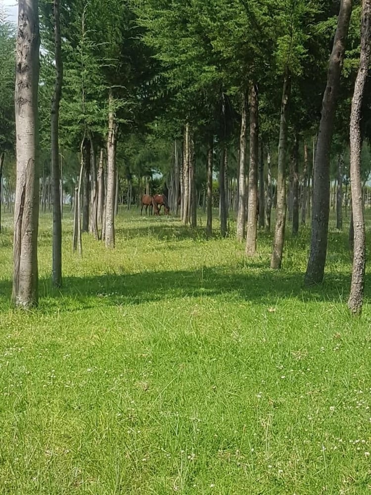 Samawati Conservancy Lake Ol Bolossat 28/42
