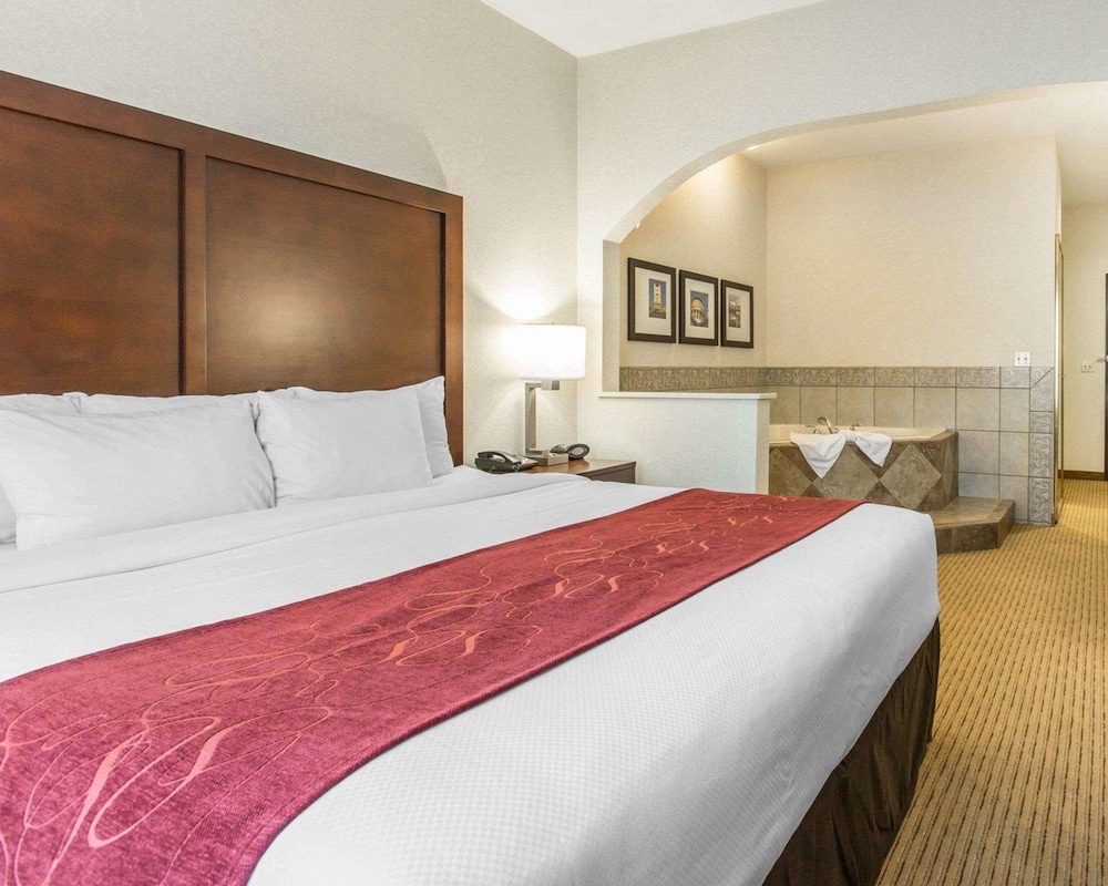 Comfort Suites Downtown Sacramento 12/47