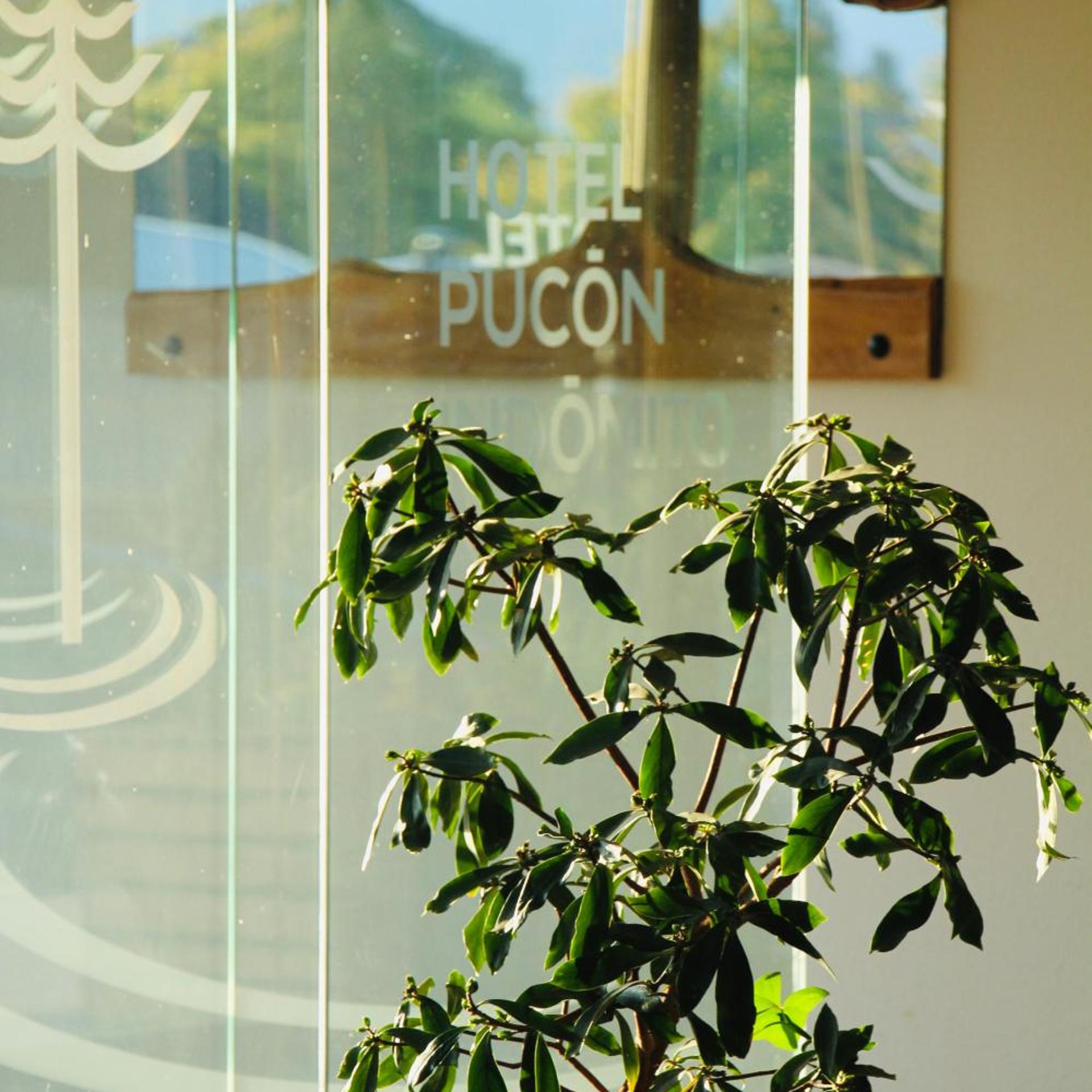 Pucon Indomito 38/50